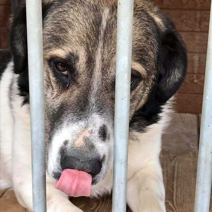 Pokochaj przemiłego Bena!