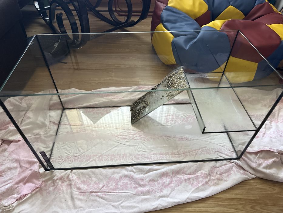 Terrarium dla żółwia wodno-ladowego