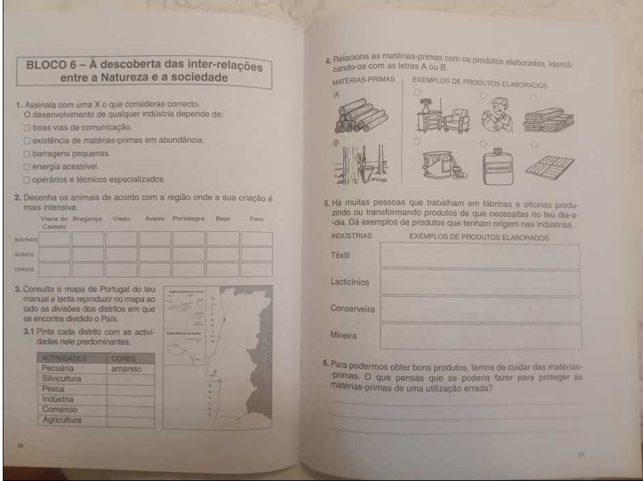Giroflé - Estudo do Meio . 4º Ano - Caderno de Actividades