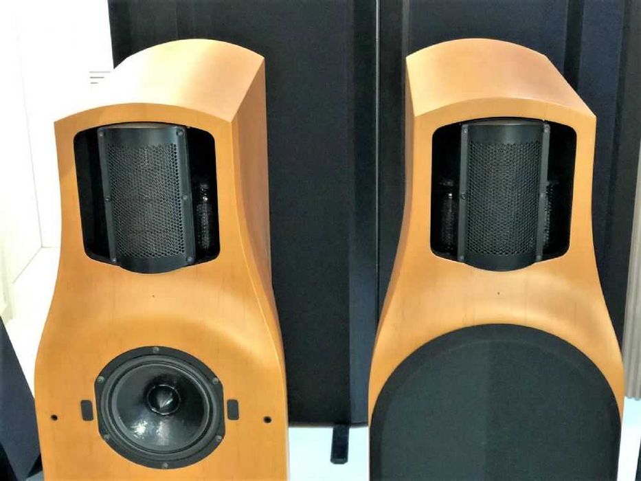 Kolumny T+A criterion TCI 1RE unikat