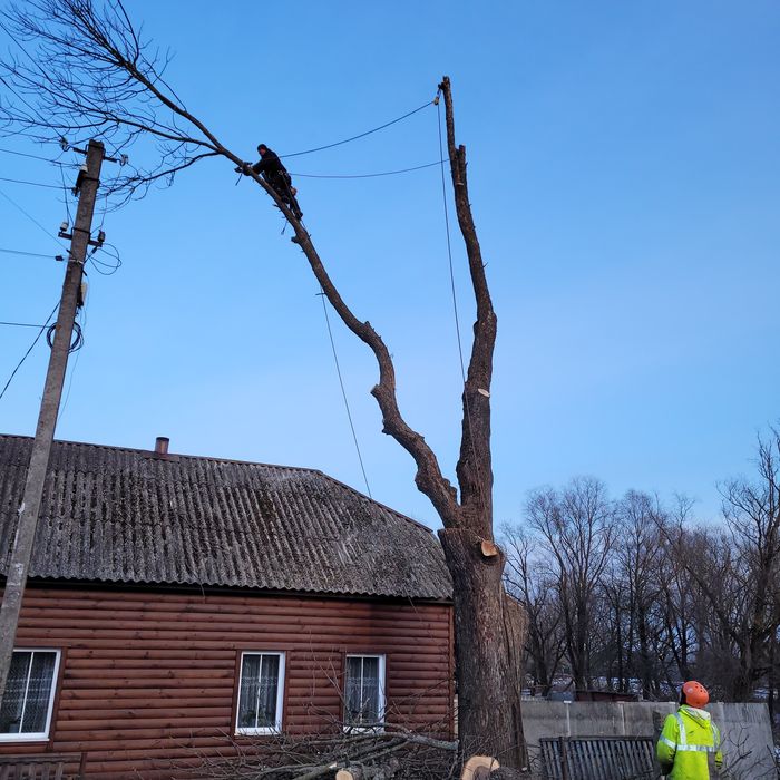 Спилювання,видалення дерев в будь якому місці,будь якої складності!