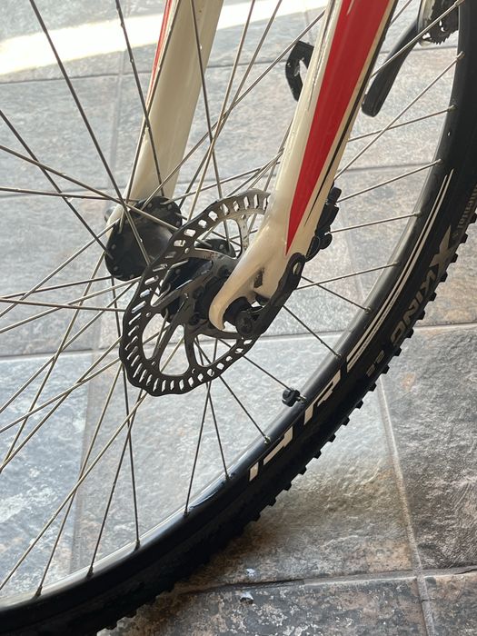 Specialized Roda 29
