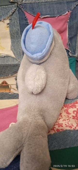 Заиц, дельфин , серые