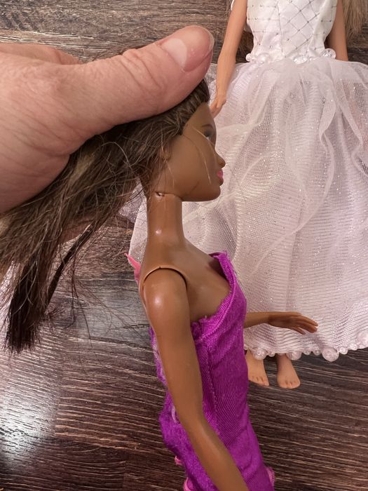 Barbie,барбі,лялька,кукла,enchrntimals.