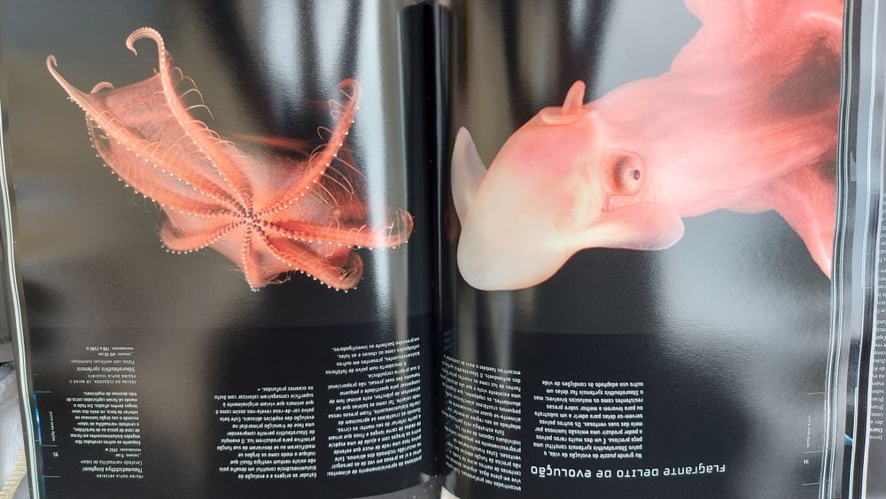 Criaturas do Abismo de Claire Nouvian