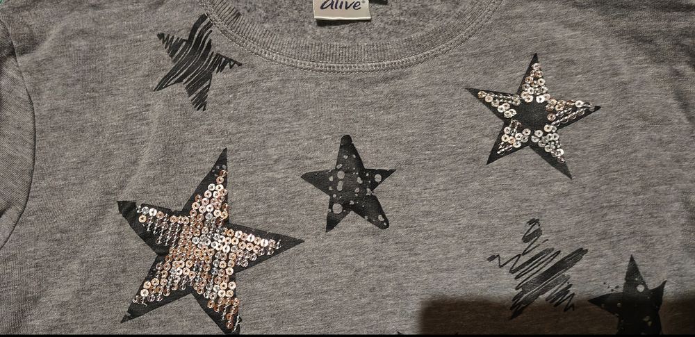 Bluza Alive roz. 146-152