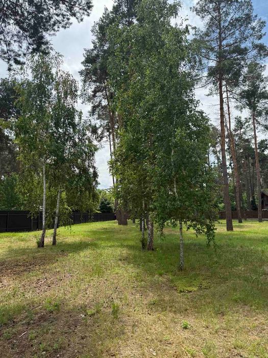 Продаж земельної ділянки с. Романків.