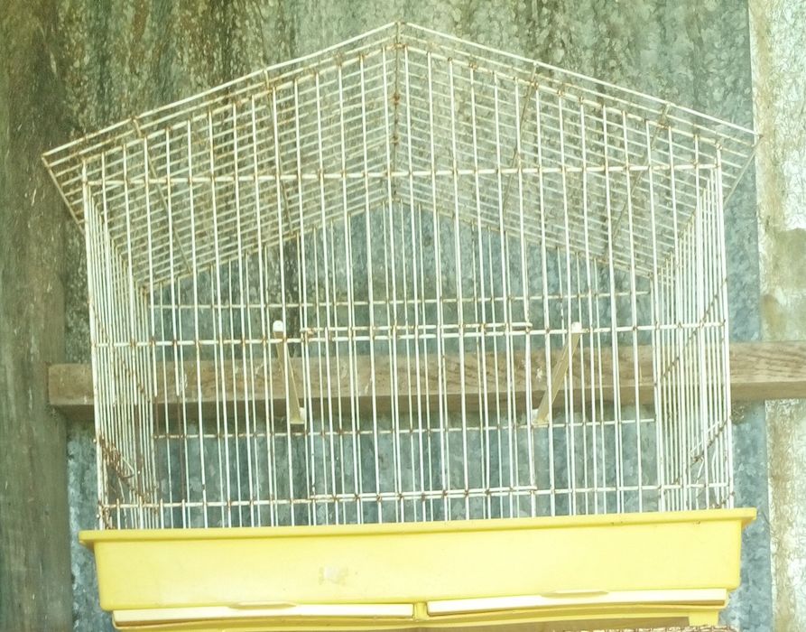 Gaiolas para criação de aves