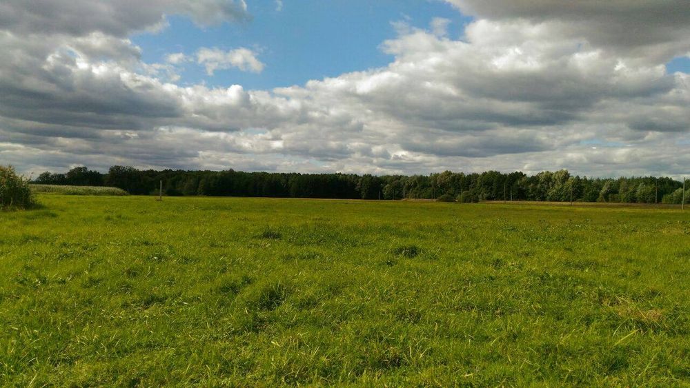 Продам участок 2га на берегу реки Мжа, в с.Тимченки