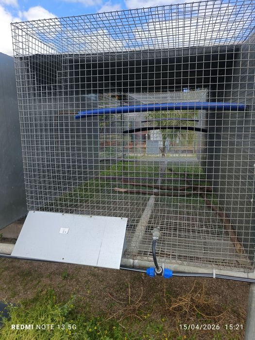 Voadeiras para aves grande porte