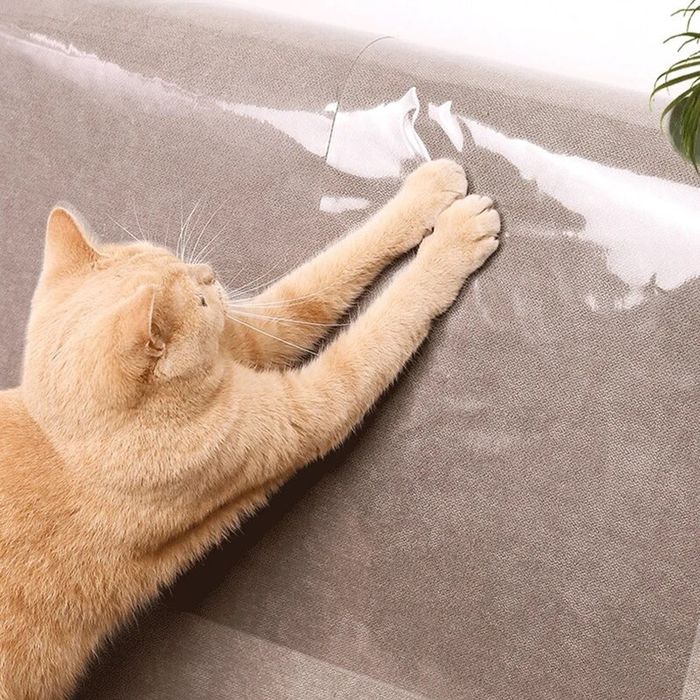 Захисна плівка + подарунок, антикіготь, антикоготь, кігтеточка, дряпка