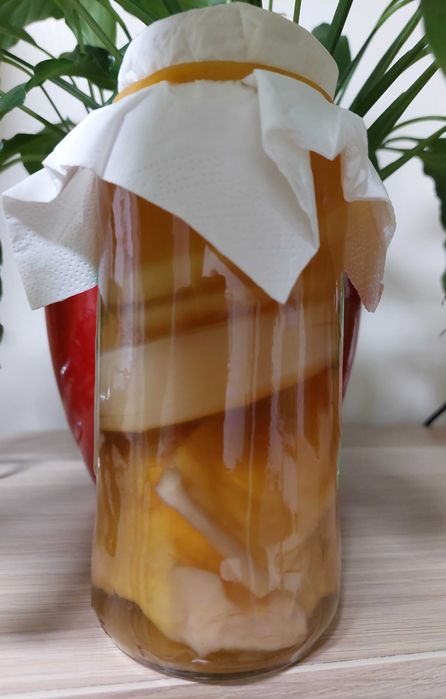 Kombucha engarrafada ou (Scoby + chá arranque)