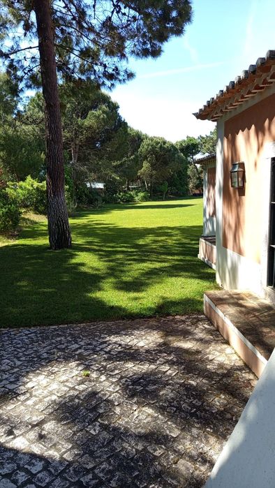 Construção e Manutenção de jardins / Consultoria