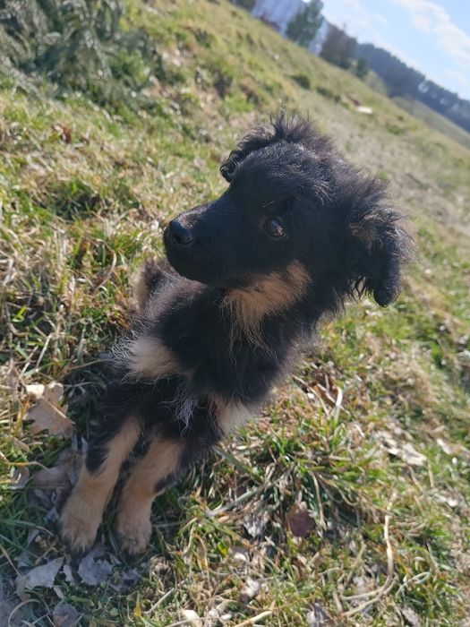 Pokochaj dużym sercem małe