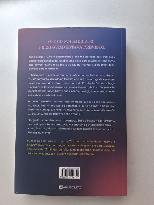 Vision- Onde Começámos (Sara Cardoso)