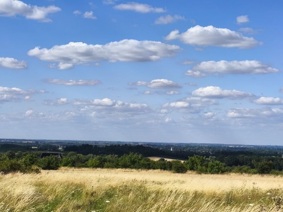 Działka budowlana - Widok 5