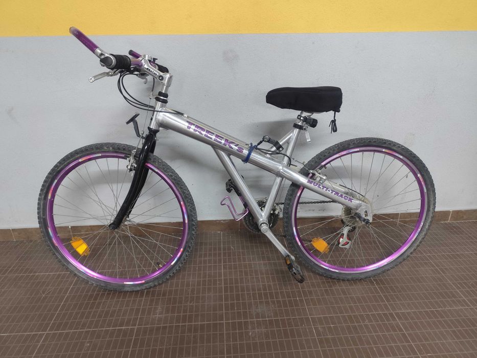 Bicicleta Trek Multi-Track – Prateada e Roxa