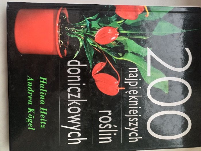 200 najpiękniejszych roślin doniczkowych