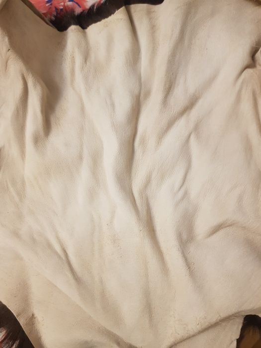 Шкурки козлика выделенаные 84 штуки по 50 гривен