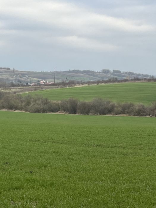 Продаж земельної ділянки в м. Мостиська