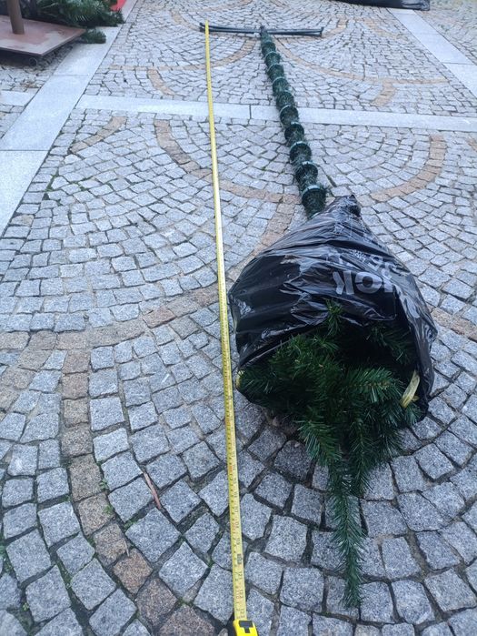 Pinheiro de Natal 310 cm