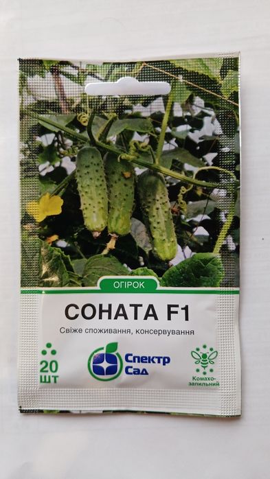 Насіння огірків, самозапильні, партернокарпічні, гібридні, семена огур