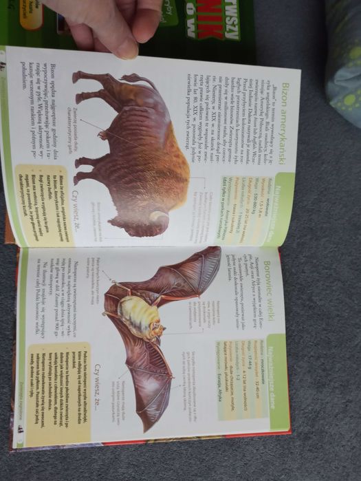 Książka Atlas zwierząt