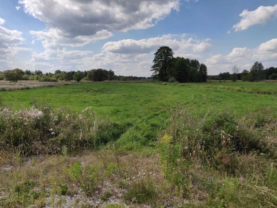 Działka budowlana 5000 m2 pod dom i własny staw | Zagórze k/ Radomska