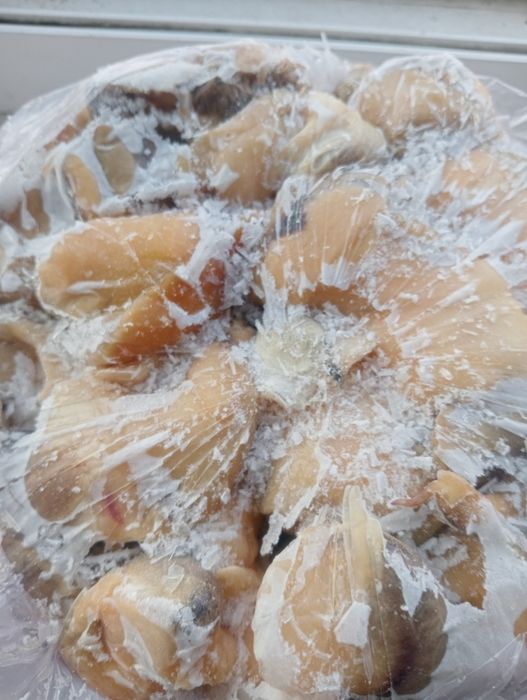 Мясо рапана свежемороженоее