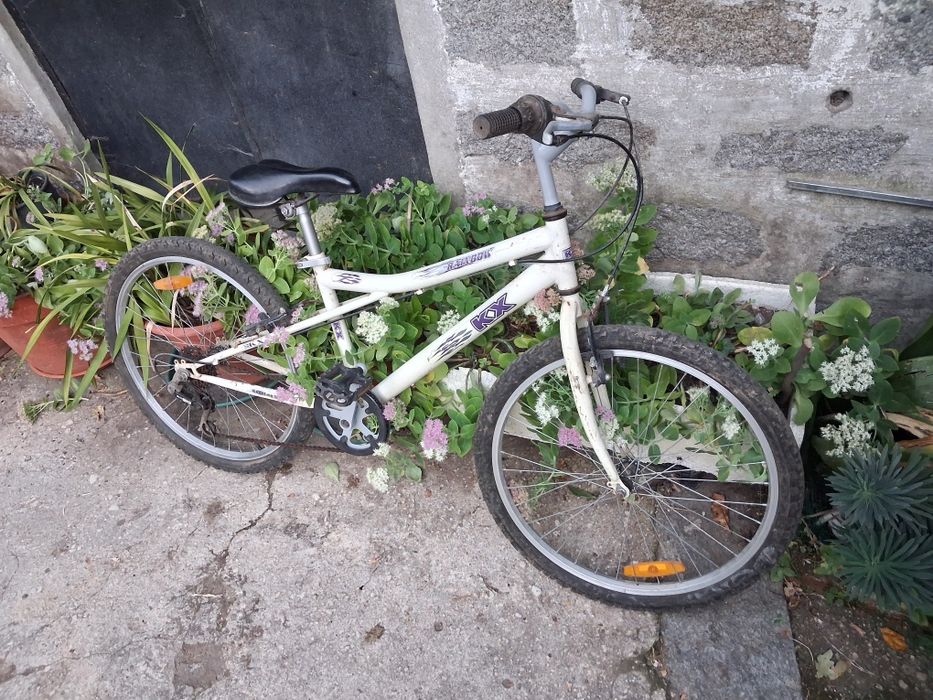Bicicleta roda 24