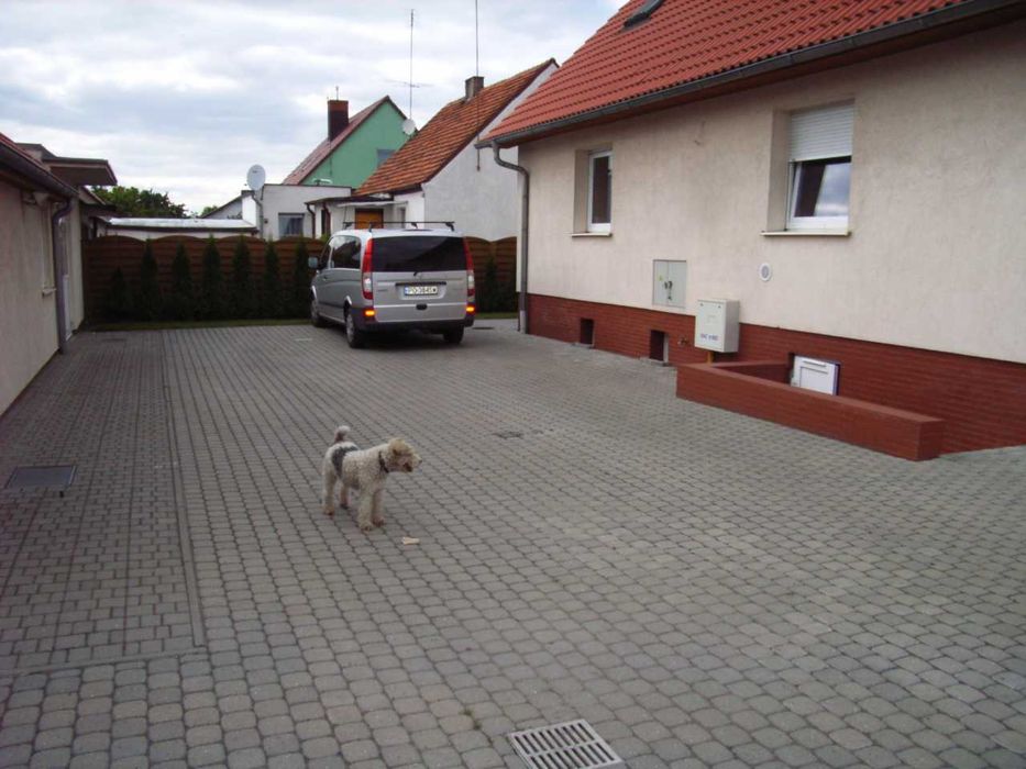Dom – Szamotuły, powiat szamotulski - Widok 3