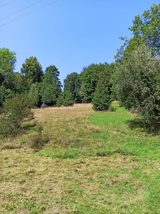 Działka na sprzedaz w Beskidach - Widok 5