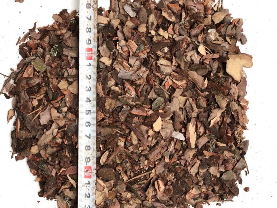 Кора соснова від виробника