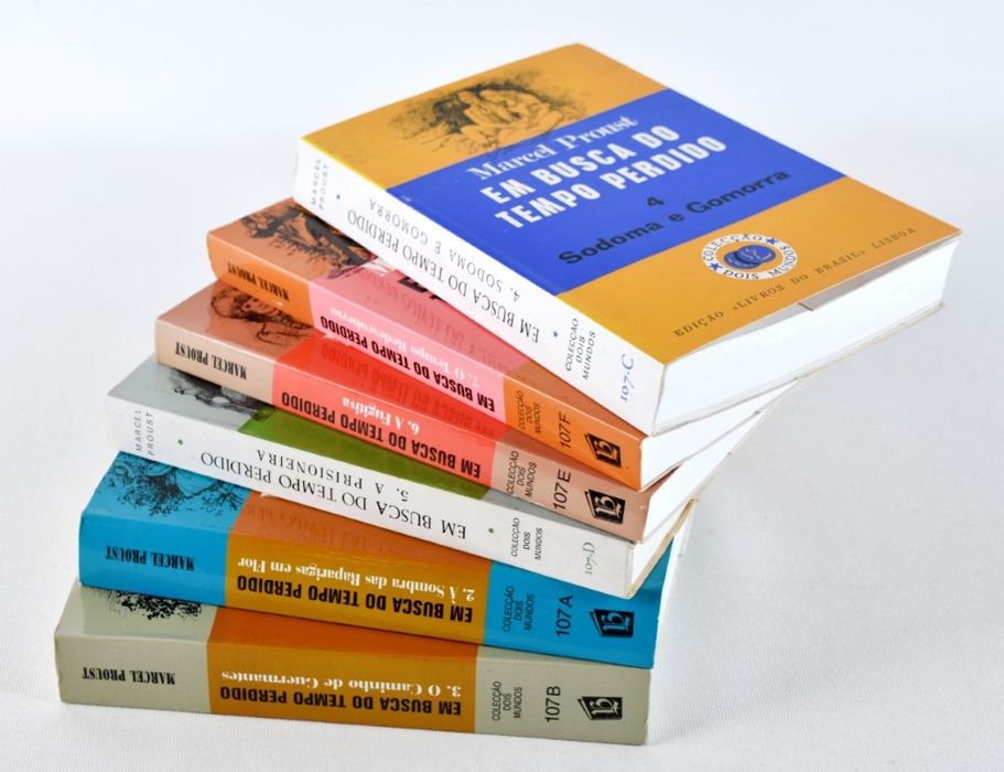 EM BUSCA DO TEMPO PERDIDO -  Marcel Proust