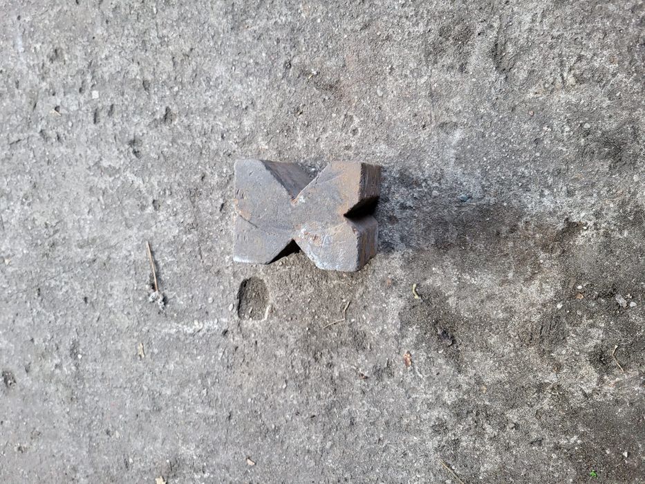 Prościarka kowalska