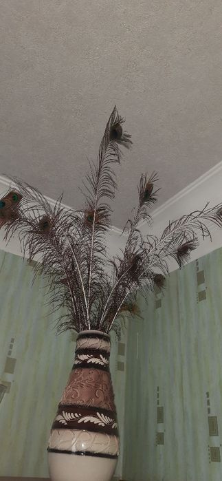 Продам пір'я Павліна в гарному стані