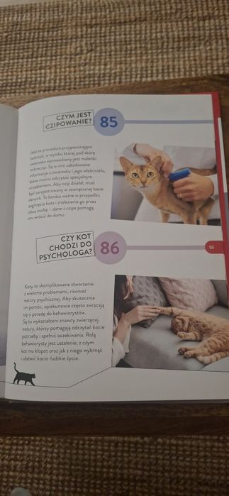 100 faktów KOTY.  Książka o kotach.