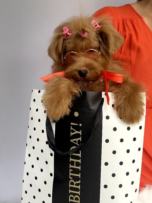 Всього 3 Чарівні Помапу