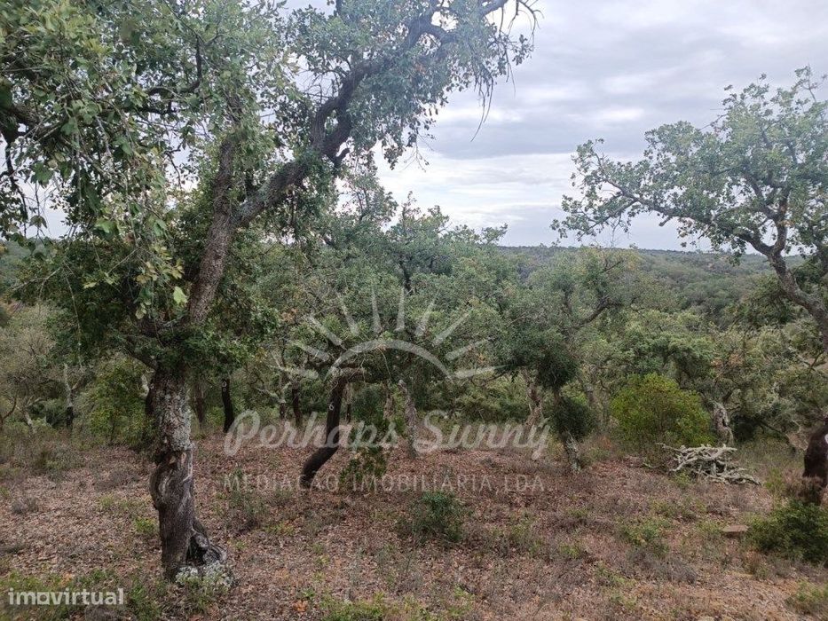 Terreno São Francisco da Serra