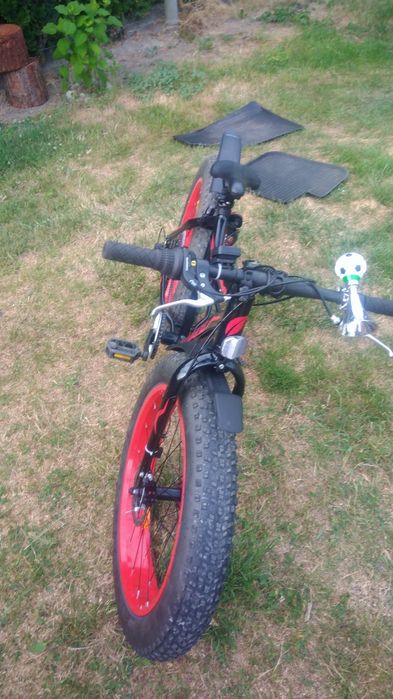 Rower 24" Indiana fat bike
