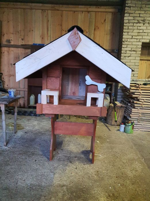 Buda dla średniego psa