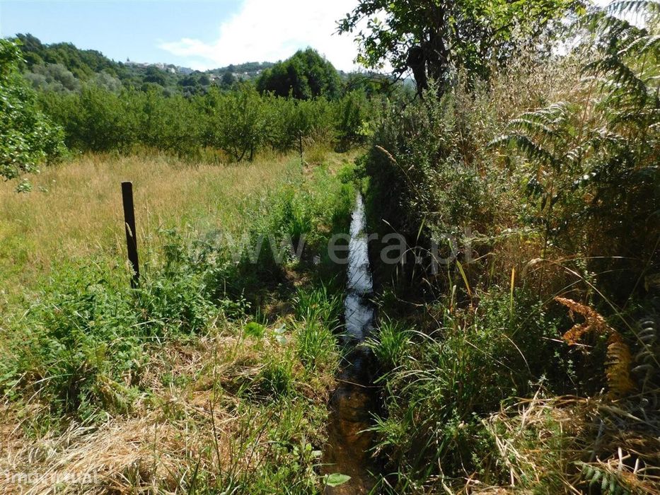 Terreno / Fundão, Souto da Casa