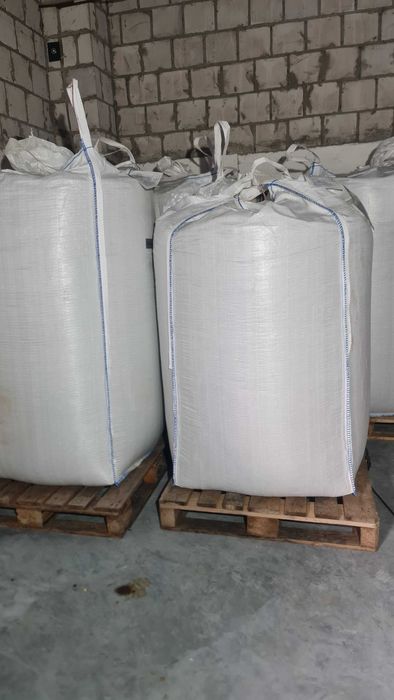 Dynia bezłuskowa bezłupinowa oleista pestki wysyłka od rolnika