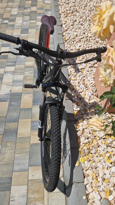 Dirt Checker Pig Flying Pig 26"