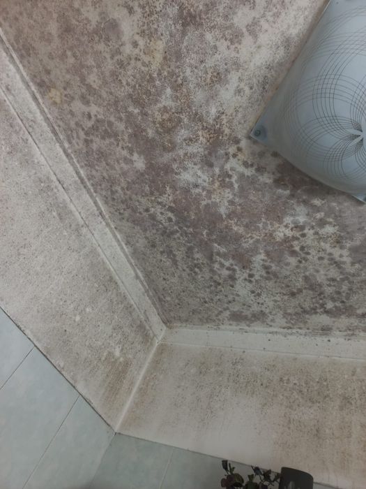 Reparação/Limpeza de Paredes+Pintura – Estuque e Cimento-Trabalhos ao