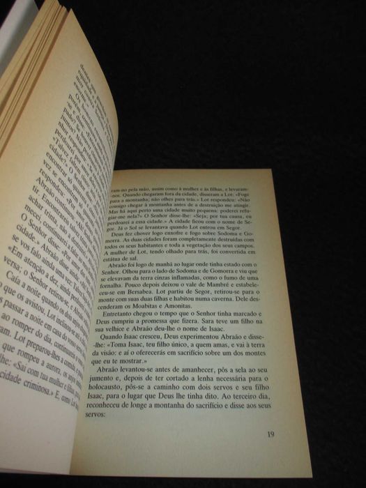 Livro Narrativas da Bíblia Antigo Testamento Verbo