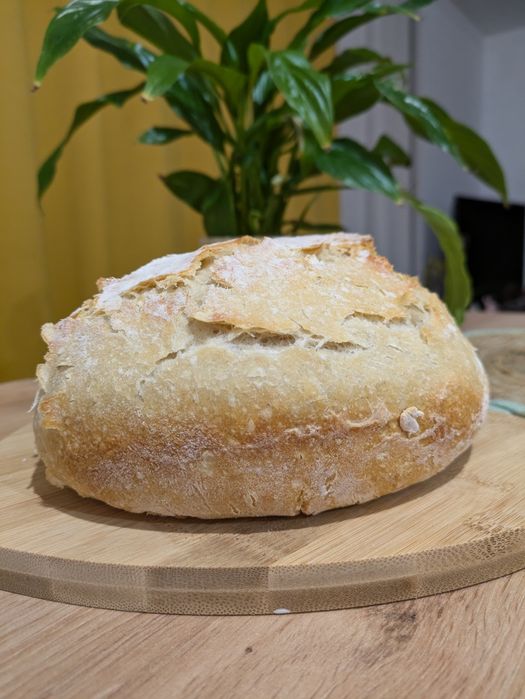 Chleb na zakwasie z mąk z certyfikatem BIO