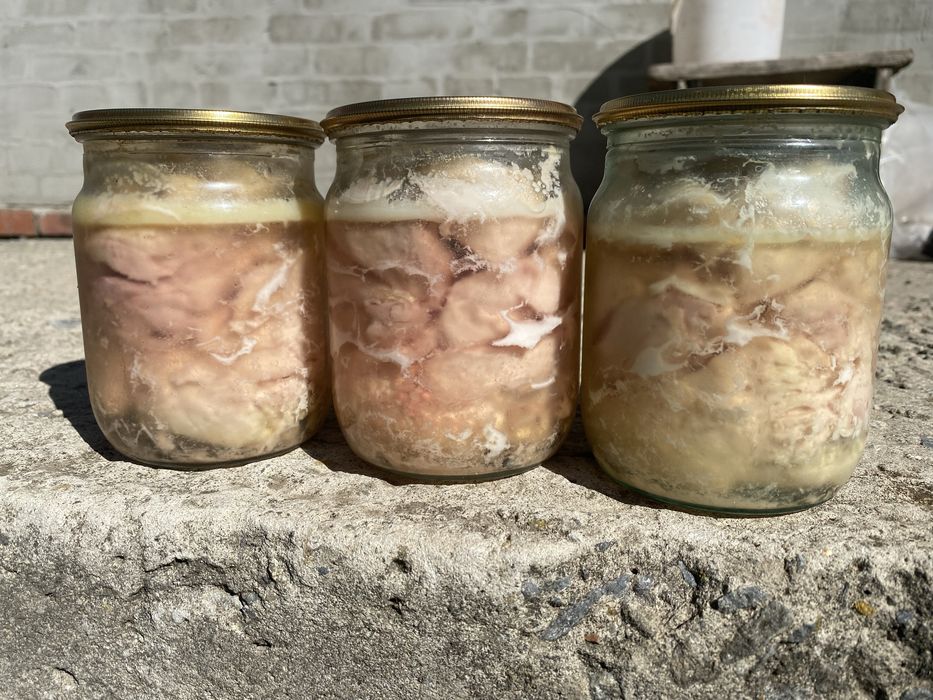 Тушковане мʼясо домашнього бройлера