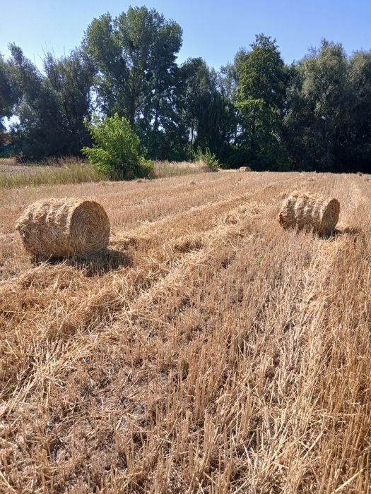 Продам тюки з соломи ,телефонуйте домовимося