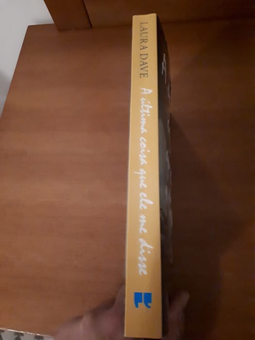Livro "A última coisa que ele me disse "